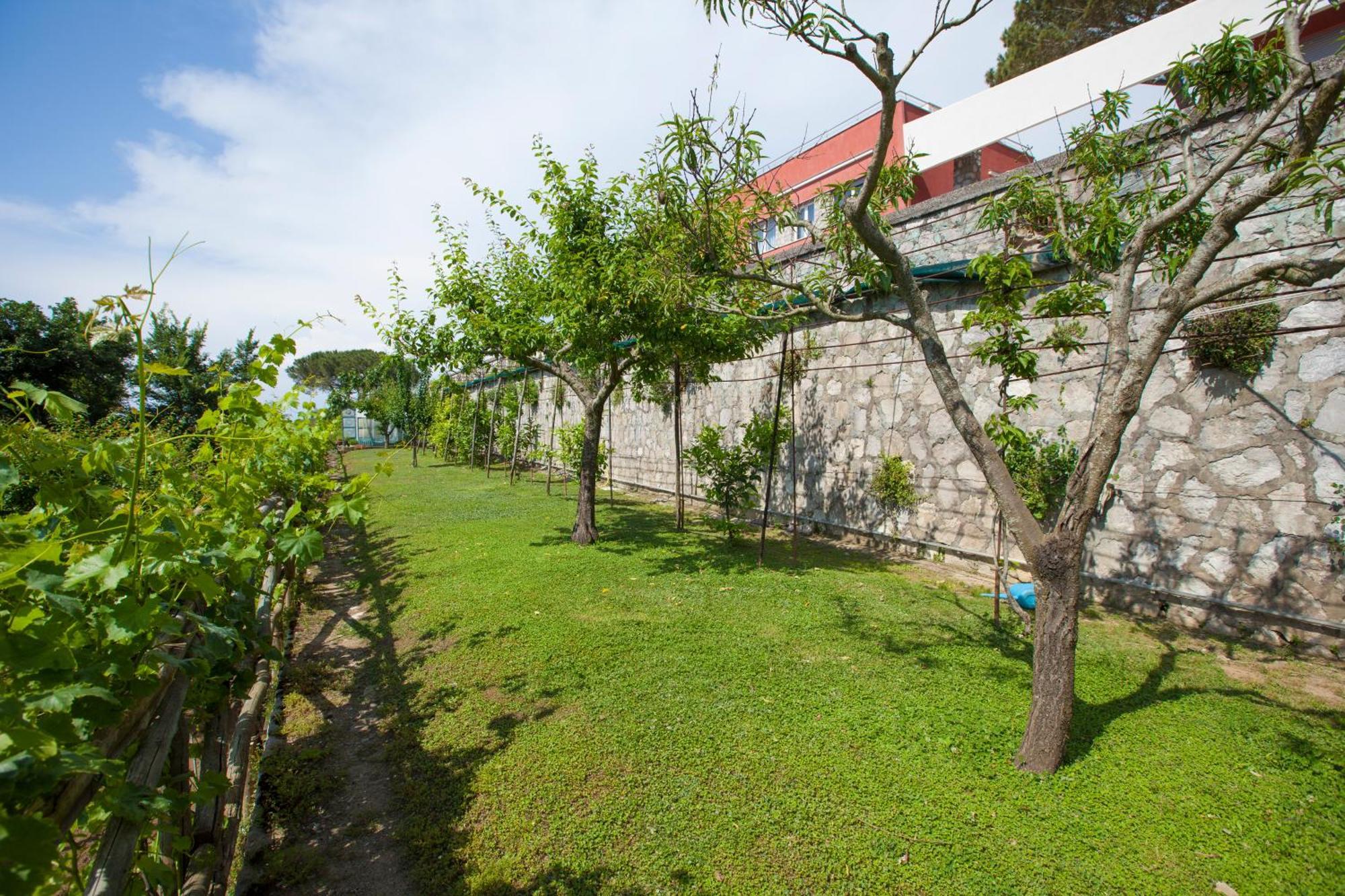 Villa Mambrini Sorrento Kültér fotó